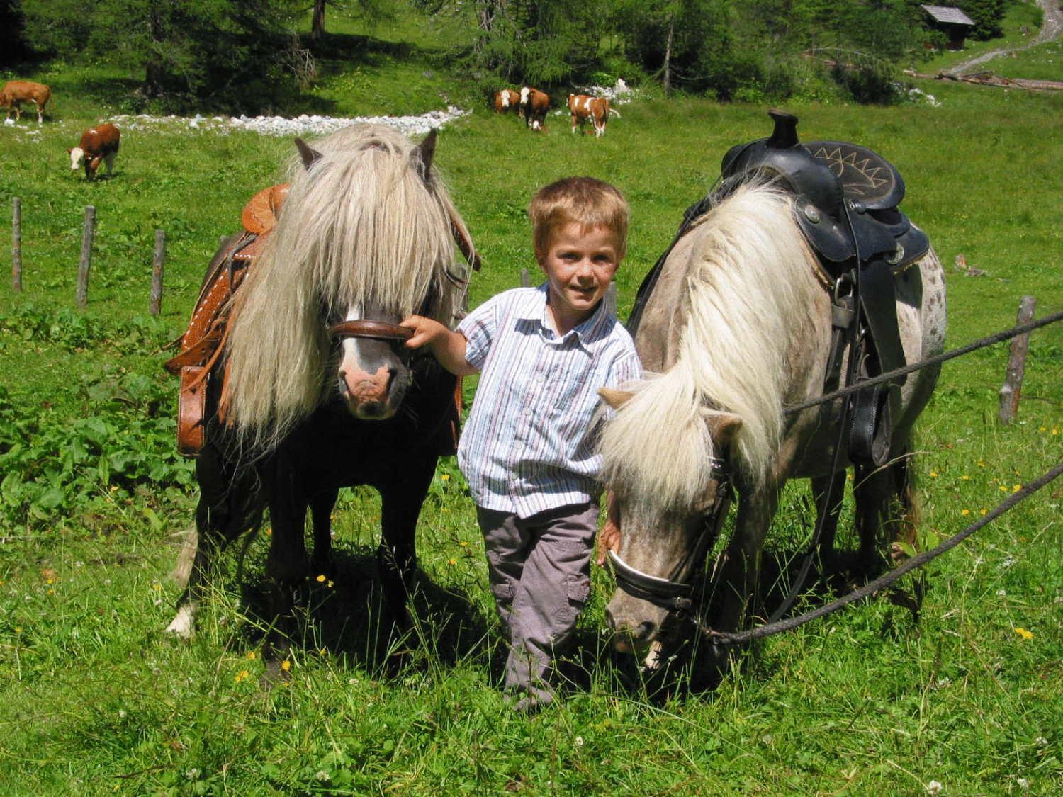 Bio-Bauernhof Samerhof Mariapfarr Dış mekan fotoğraf